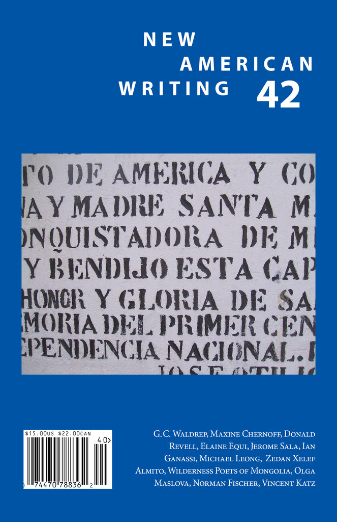 42 Writing New American Writing issue 42 | MadHat Press