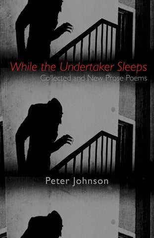 While the Undertaker Sleeps by Peter Johnson (hardcover)