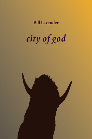 city of god by Bill Lavender